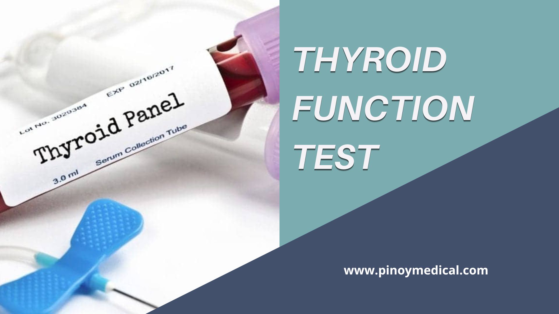 Thyroid Function Test Price in the Philippines 20 — PinoyMedical